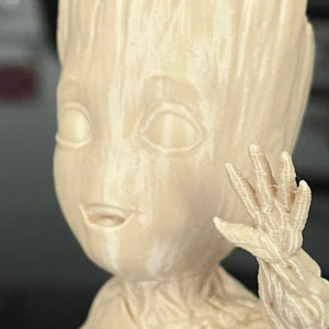 PLA - Piel