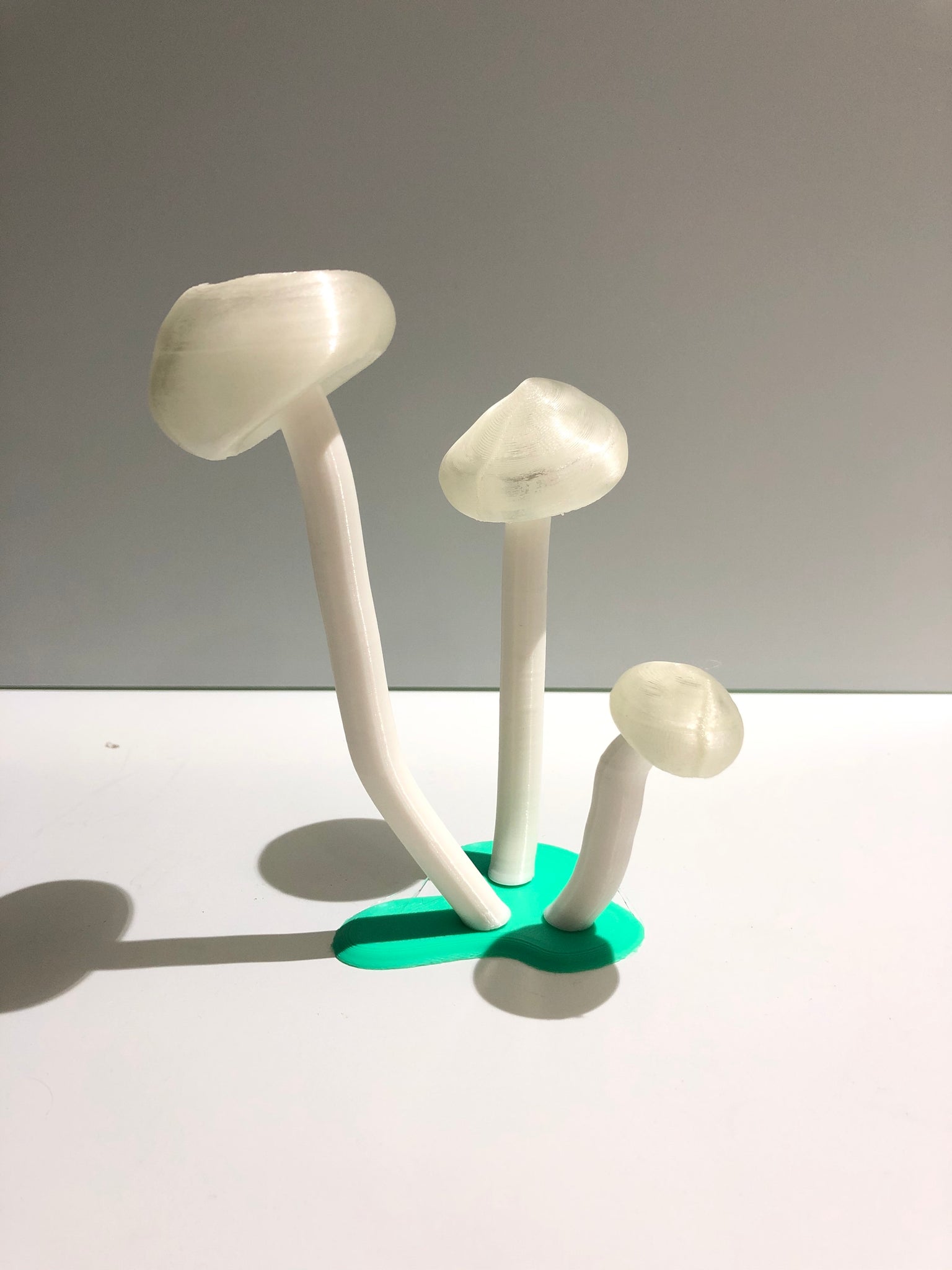 GLOW - Verde 500g