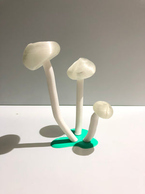 GLOW - Verde 500g